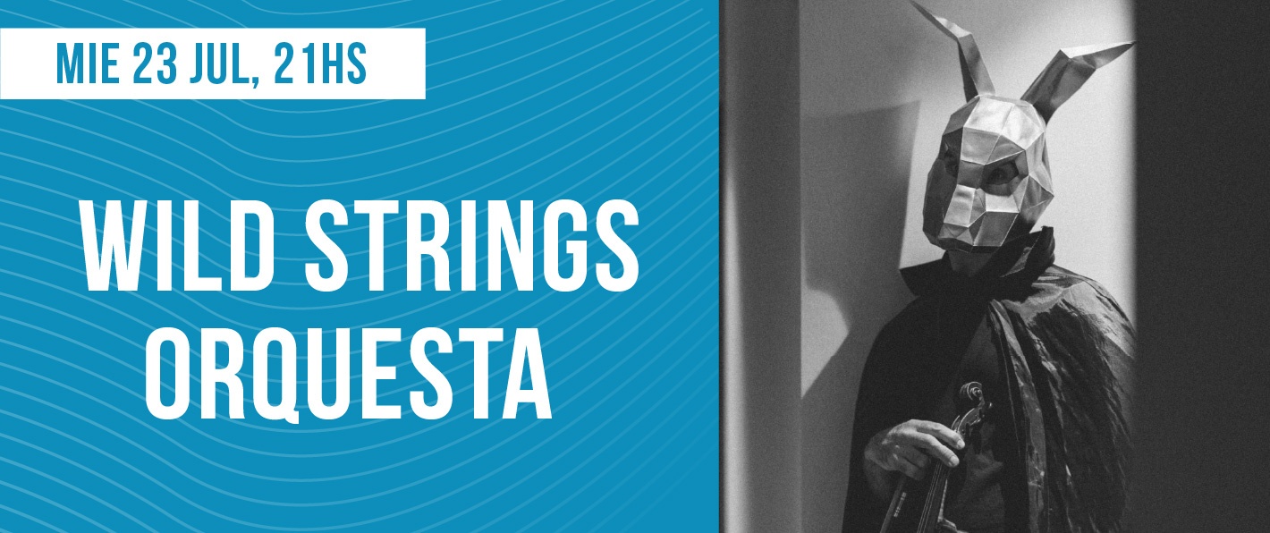 Wild Strings Orquesta